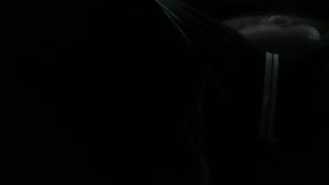 rlcock1 online show from January 15, 11:36 am