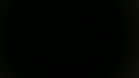 Snapshot of roastingcorn chatting on October 18, 10:20 am RoastingCorn online show from October 18, 10:20 am