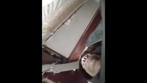 R online show from April 23, 12:40 pm