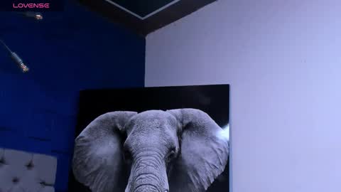 Snapshot of rocco_santos chatting on October 10, 3:11 am rocco_santos online show from October 10, 3:11 am