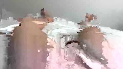 rock85810 online show from October 13, 10:16 pm