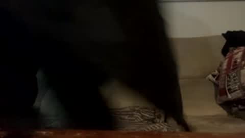 rogerbenid81 online show from March 1, 3:50 am