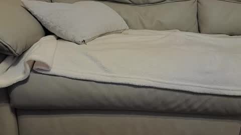 roman5102593 online show from January 31, 2:39 pm