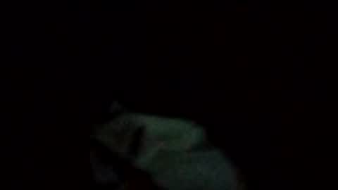 Snapshot of rompeculos121 chatting on February 17, 4:53 am rompeculos121 online show from February 17, 4:53 am