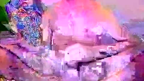 rootsrocco6985 online show from December 10, 9:33 am