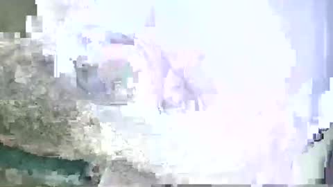 rotonini online show from September 27, 12:52 am