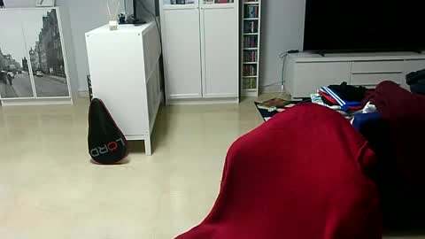 Snapshot of roubarixx chatting on January 25, 8:42 am roubarixx online show from January 25, 8:42 am