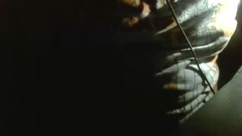 Ruchaczdbn online show from April 28, 1:22 am