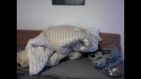 rudolf28 online show from April 1, 11:45 am