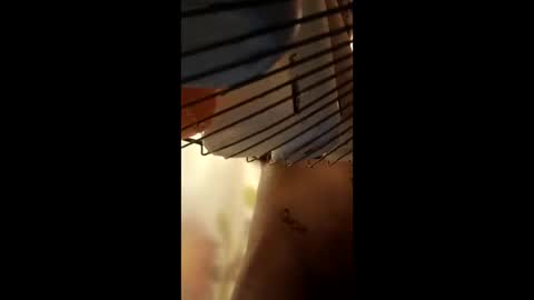 rule62orrue online show from March 19, 7:11 am