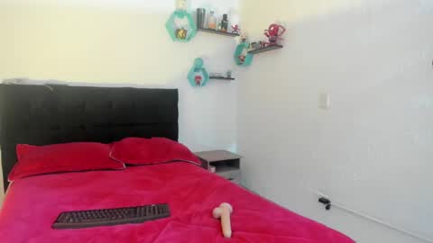 Snapshot of ryan15_ chatting on February 5, 10:51 am Ryan 15 online show from February 5, 10:51 am