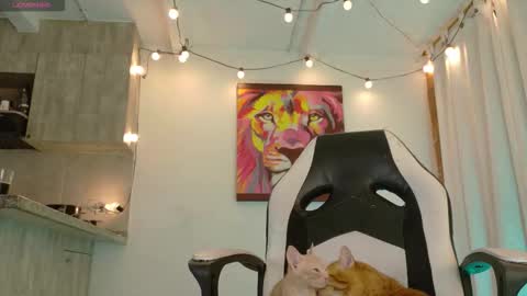 Ryan Blue ig ryannblue online show from November 11, 2:27 am