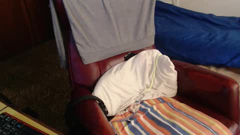 Sacoa online show from April 25, 4:48 pm