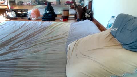 xxSeXSouLxx online show from December 10, 7:37 am