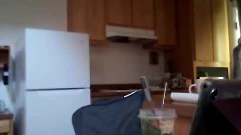 salis1981 online show from October 16, 11:02 pm