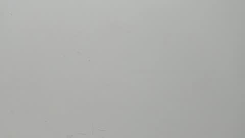 Snapshot of salvatore_damore chatting on February 6, 11:10 am SALVATORE online show from February 6, 11:10 am