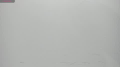 Snapshot of salvatore_damore chatting on February 14, 11:10 am SALVATORE online show from February 14, 11:10 am