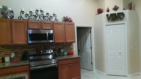 Snapshot of sam_papithebarber chatting on October 12, 5:34 am sam_papithebarber online show from October 12, 5:34 am