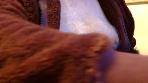 Snapshot of samsenior70 chatting on November 1, 12:15 am Sam online show from November 1, 12:15 am