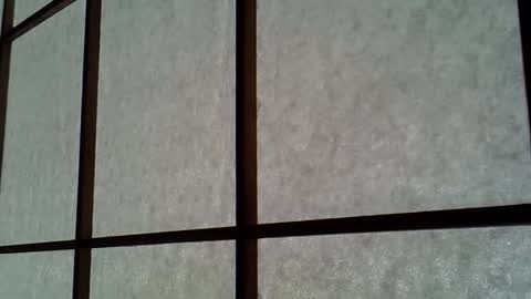 ssk online show from April 11, 4:52 am