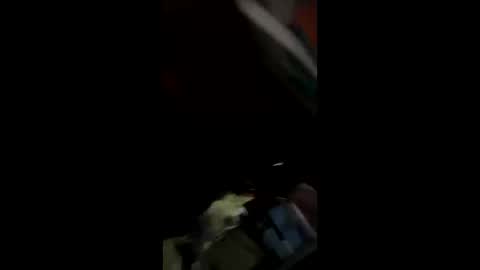 sassersteven online show from October 3, 11:37 am