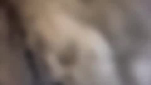 savetheturtles11 online show from February 16, 6:43 am