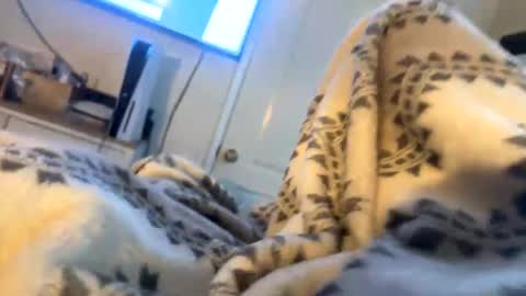 Snapshot of sbshowoff chatting on December 11, 7:10 pm Stripper in Training online show from December 11, 7:10 pm