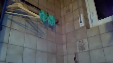 Snapshot of schnibschnab chatting on October 15, 1:46 am schnibschnab online show from October 15, 1:46 am
