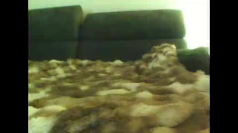 schnibschnab online show from April 6, 12:18 am