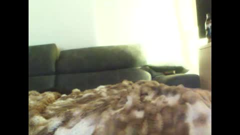 schnibschnab online show from March 31, 2:46 am