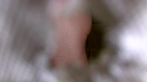 Scorpio Lover online show from October 25, 7:15 pm