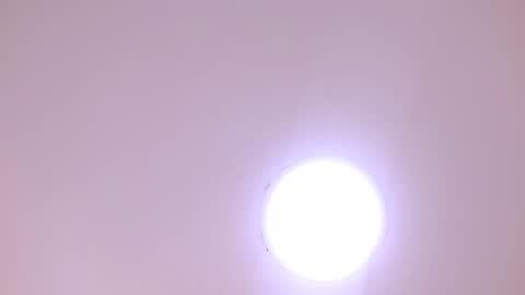 Damar online show from January 8, 6:24 pm