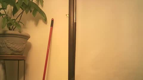 scottpbi52 online show from September 24, 4:56 am