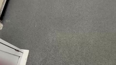 scottyc48 online show from April 27, 1:08 pm