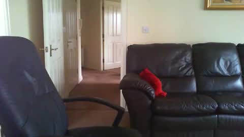 seakrait online show from March 27, 8:26 am