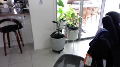 sebastianalll online show from December 30, 12:22 am