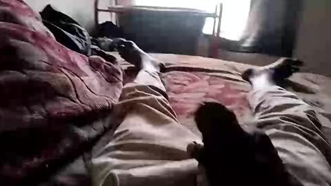 Aston Mcgrey online show from January 12, 4:11 pm