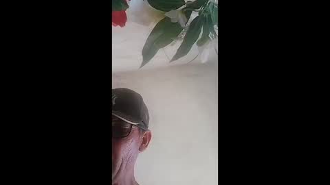 sergiobianchi977 online show from March 27, 6:53 pm