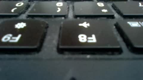 dankdiggler online show from December 1, 9:23 am