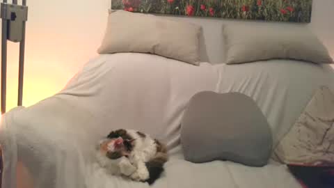 Sexurbation online show from October 20, 8:13 pm