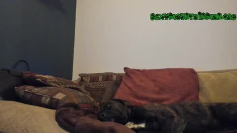 Snapshot of sexymountainman420 chatting on February 24, 4:38 am Sexymountainman420 online show from February 24, 4:38 am