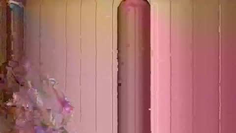 shaggydog774112 online show from October 2, 12:53 pm