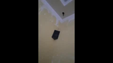 shams444 online show from February 15, 8:17 pm