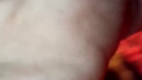 Shamroc online show from March 25, 12:42 pm