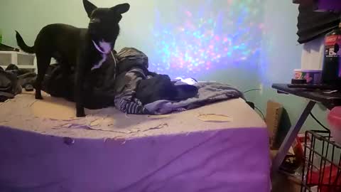 shawn710420 online show from December 9, 3:29 am