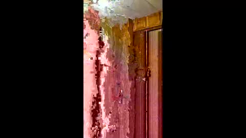 sheasly12 online show from February 4, 5:35 am