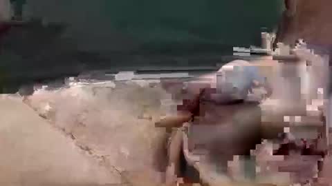 showsme online show from November 17, 10:51 am