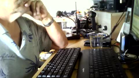Silent online show from July 20, 2:30 pm