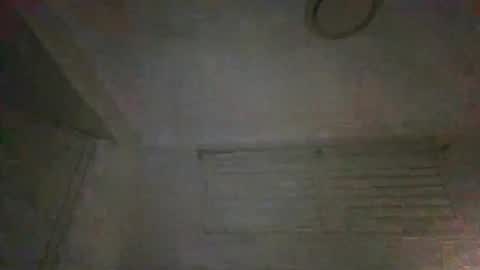 silvester70 online show from February 25, 8:47 am