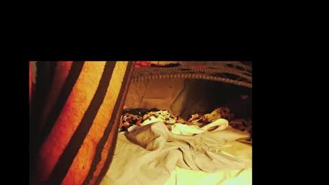 Snapshot of sir__loin411 chatting on February 6, 6:24 pm Sir Loin online show from February 6, 6:24 pm